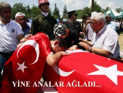 ‘Oğlum şehit düştü, vatan sağolsun'